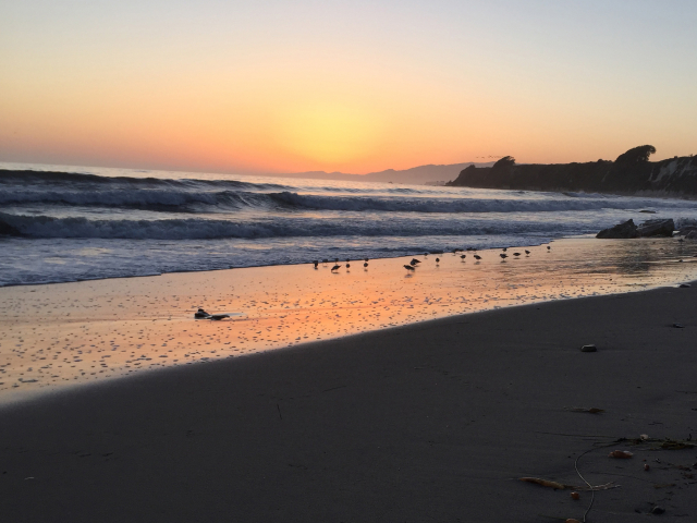 Birds at Sunset. Credit: Brian Wolf